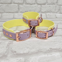 TrinketyPaws™ | BioThane® wasserdichtes zweifarbiges SIGHTHOUND Halsband® | Sherbet Lemon & Lilac mit rosegoldenen Beschlägen