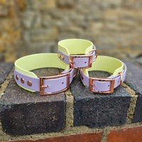 TrinketyPaws™ | BioThane® wasserdichtes zweifarbiges SIGHTHOUND Halsband® | Sherbet Lemon & Lilac mit rosegoldenen Beschlägen