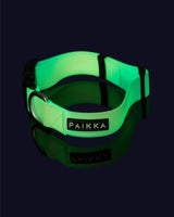 PAIKKA | Glow Leuchthalsband | Ombre