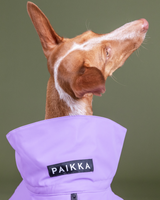 PAIKKA | Hochreflektierende Hundewinterjacke | Lila | VOLLREFLEKTIEREND