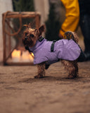 PAIKKA | Hochreflektierende Hundewinterjacke | Lila | VOLLREFLEKTIEREND