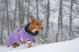 PAIKKA | Hochreflektierende Hundewinterjacke | Lila | VOLLREFLEKTIEREND