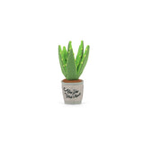 P.L.A.Y. | Spielzeug | Aloe-ve You Plant