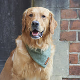 Sweet William Design | Tweed Bandana | Green