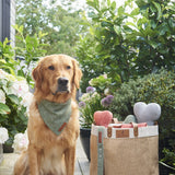 Sweet William Design | Tweed Bandana | Green